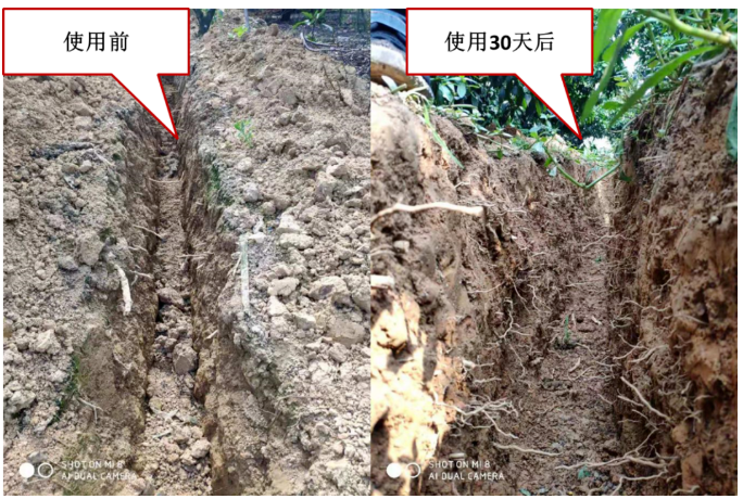 “土壤板結(jié)克星”：土壤調(diào)理劑你了解多少？